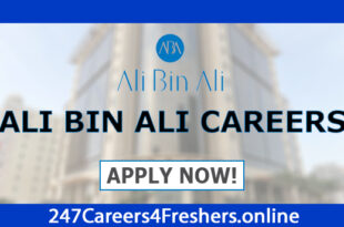Ali Bin Ali Careers