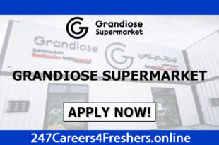 Grandiose Supermarket Careers