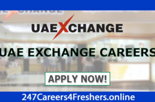 UAE Exchange Careers